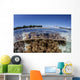 Leather Corals Grow Shallow Wall Decal