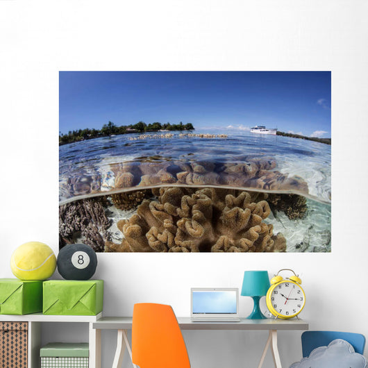 Leather Corals Grow Shallow Wall Decal