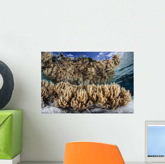 Soft Leather Corals Grow Wall Decal Design 4