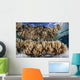 Soft Leather Corals Grow Wall Decal Design 4