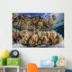 Soft Leather Corals Grow Wall Decal Design 4