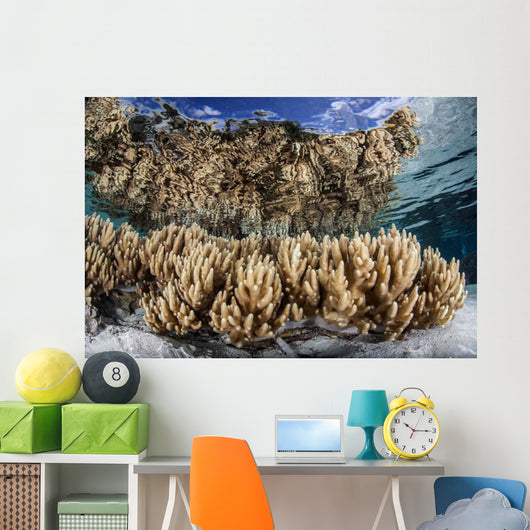 Soft Leather Corals Grow Wall Decal Design 4