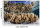 Soft Leather Corals Grow Wall Decal Design 4