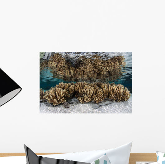 Soft Leather Corals Grow Wall Decal Design 3