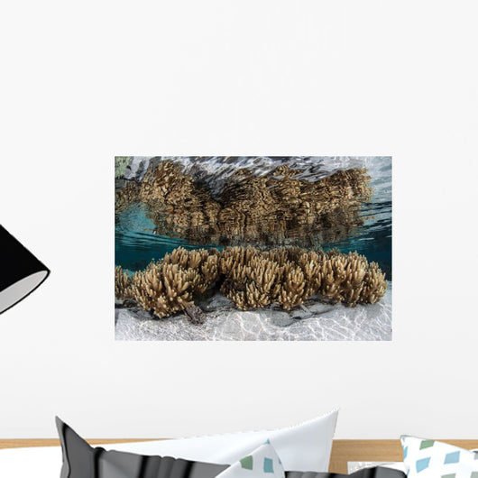 Soft Leather Corals Grow Wall Decal Design 3