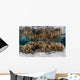 Soft Leather Corals Grow Wall Decal Design 3
