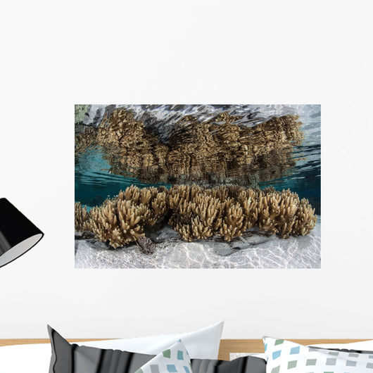 Soft Leather Corals Grow Wall Decal Design 3