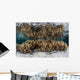 Soft Leather Corals Grow Wall Decal Design 3