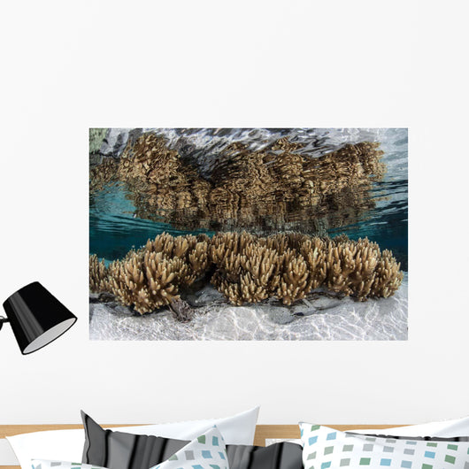Soft Leather Corals Grow Wall Decal Design 3