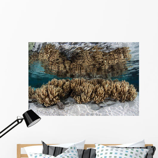 Soft Leather Corals Grow Wall Decal Design 3