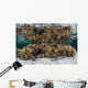 Soft Leather Corals Grow Wall Decal Design 3