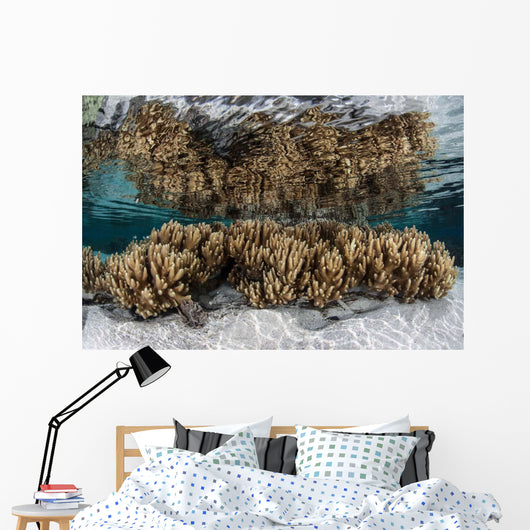 Soft Leather Corals Grow Wall Decal Design 3