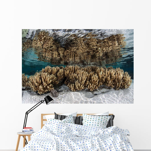 Soft Leather Corals Grow Wall Decal Design 3