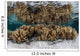 Soft Leather Corals Grow Wall Decal Design 3