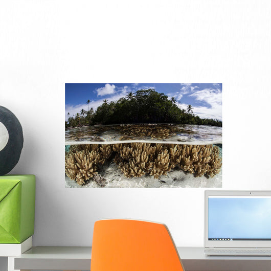 Soft Leather Corals Grow Wall Decal Design 2