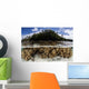 Soft Leather Corals Grow Wall Decal Design 2