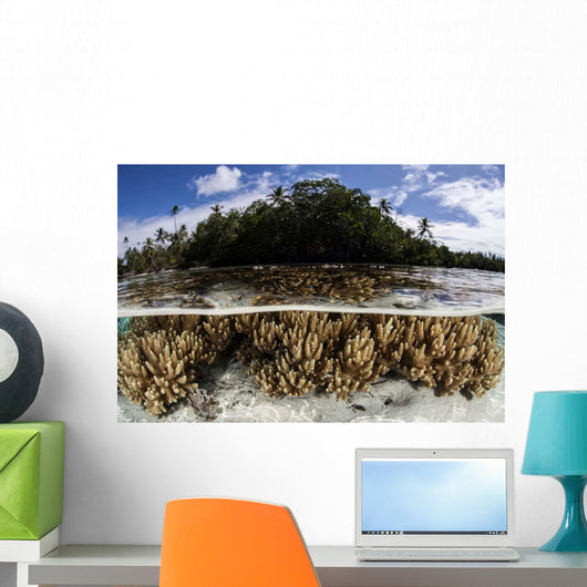 Soft Leather Corals Grow Wall Decal Design 2