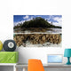 Soft Leather Corals Grow Wall Decal Design 2