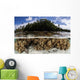 Soft Leather Corals Grow Wall Decal Design 2