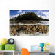 Soft Leather Corals Grow Wall Decal Design 2
