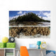 Soft Leather Corals Grow Wall Decal Design 2