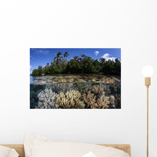 Soft Leather Corals Grow Wall Decal Design 1