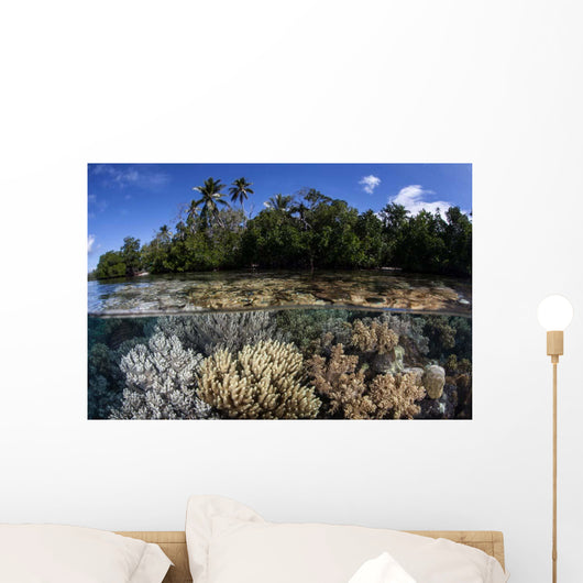 Soft Leather Corals Grow Wall Decal Design 1
