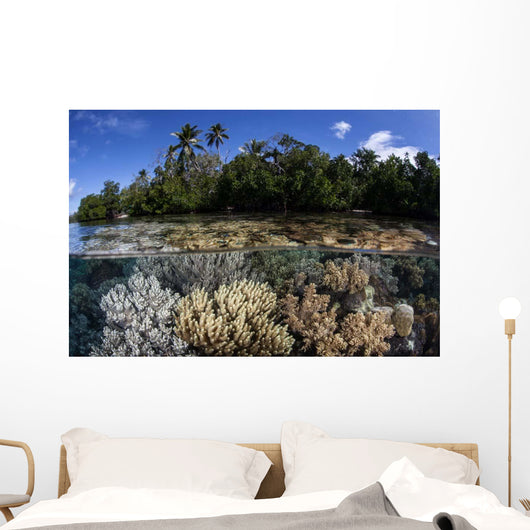 Soft Leather Corals Grow Wall Decal Design 1