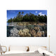 Soft Leather Corals Grow Wall Decal Design 1