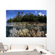Soft Leather Corals Grow Wall Decal Design 1