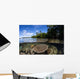 Healthy Coral Reef Grows Wall Decal Design 12