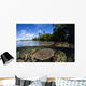Healthy Coral Reef Grows Wall Decal Design 12