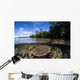 Healthy Coral Reef Grows Wall Decal Design 12