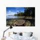 Healthy Coral Reef Grows Wall Decal Design 12