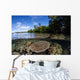 Healthy Coral Reef Grows Wall Decal Design 12