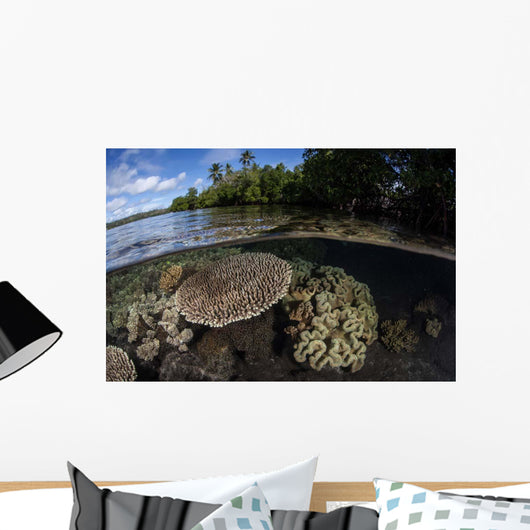 Healthy Coral Reef Grows Wall Decal Design 11