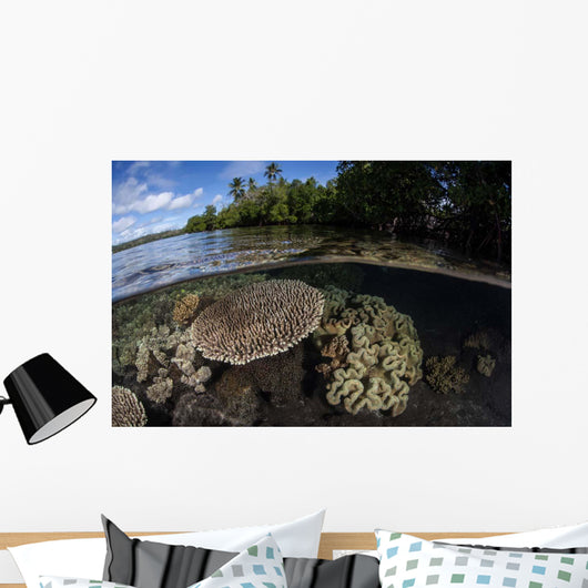 Healthy Coral Reef Grows Wall Decal Design 11