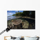 Healthy Coral Reef Grows Wall Decal Design 11