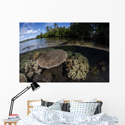 Healthy Coral Reef Grows Wall Decal Design 11