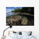 Healthy Coral Reef Grows Wall Decal Design 11