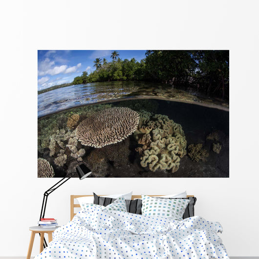 Healthy Coral Reef Grows Wall Decal Design 11