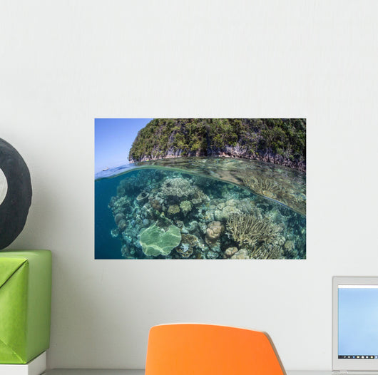 Healthy Coral Reef Grows Wall Decal Design 10