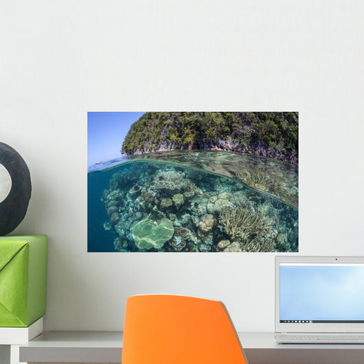 Healthy Coral Reef Grows Wall Decal Design 10