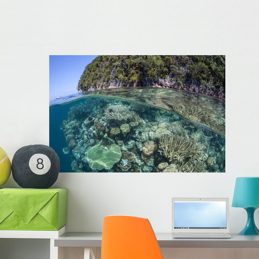 Healthy Coral Reef Grows Wall Decal Design 10