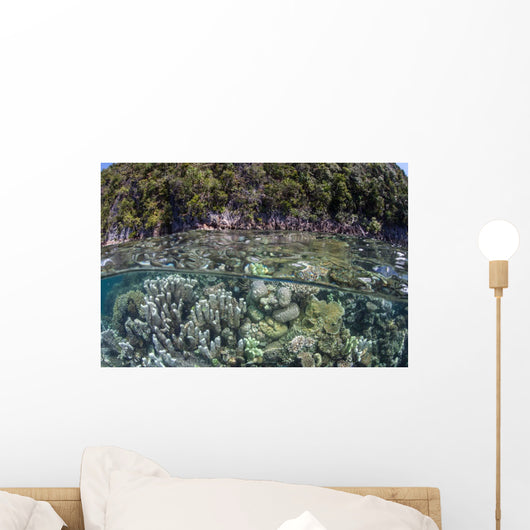 Healthy Coral Reef Grows Wall Decal Design 9