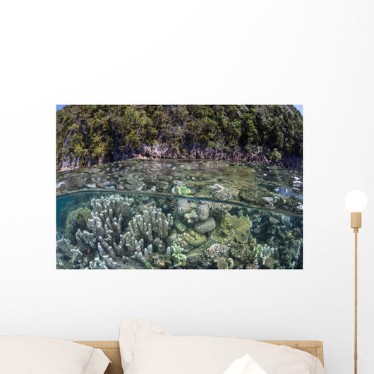 Healthy Coral Reef Grows Wall Decal Design 9