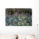 Healthy Coral Reef Grows Wall Decal Design 9