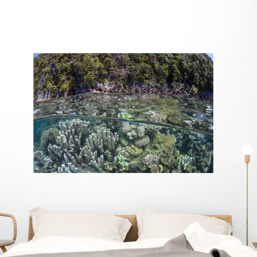 Healthy Coral Reef Grows Wall Decal Design 9
