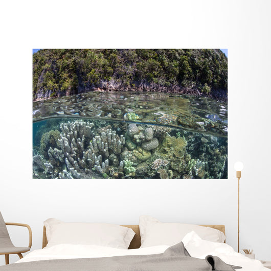 Healthy Coral Reef Grows Wall Decal Design 9