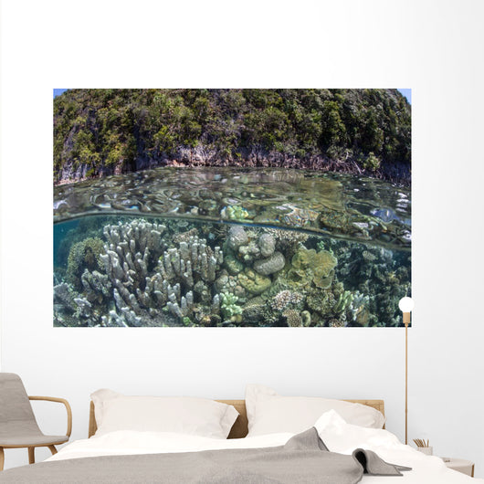 Healthy Coral Reef Grows Wall Decal Design 9